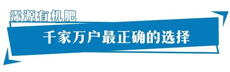 禹州养花人有福了！这家花卉店超值养花套餐限量抢！