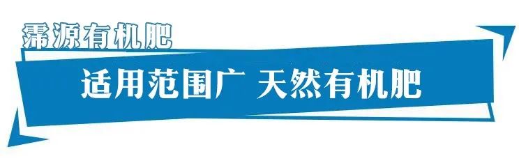 禹州养花人有福了！这家花卉店超值养花套餐限量抢！