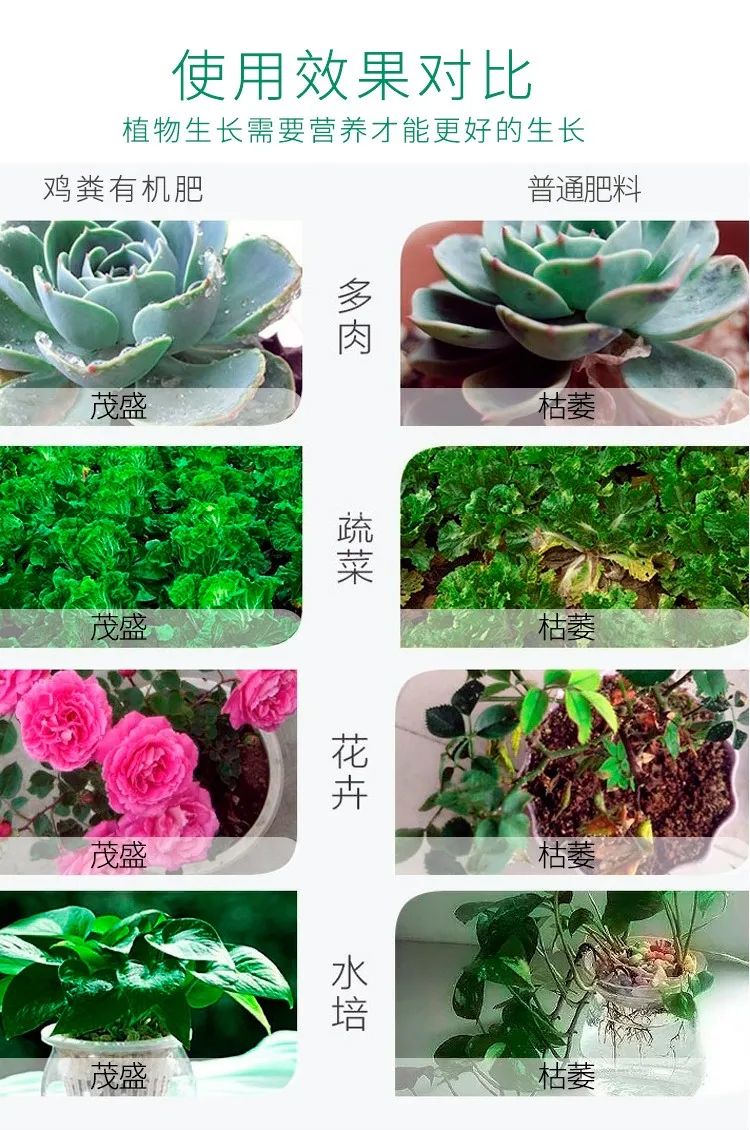 禹州养花人有福了！这家花卉店超值养花套餐限量抢！