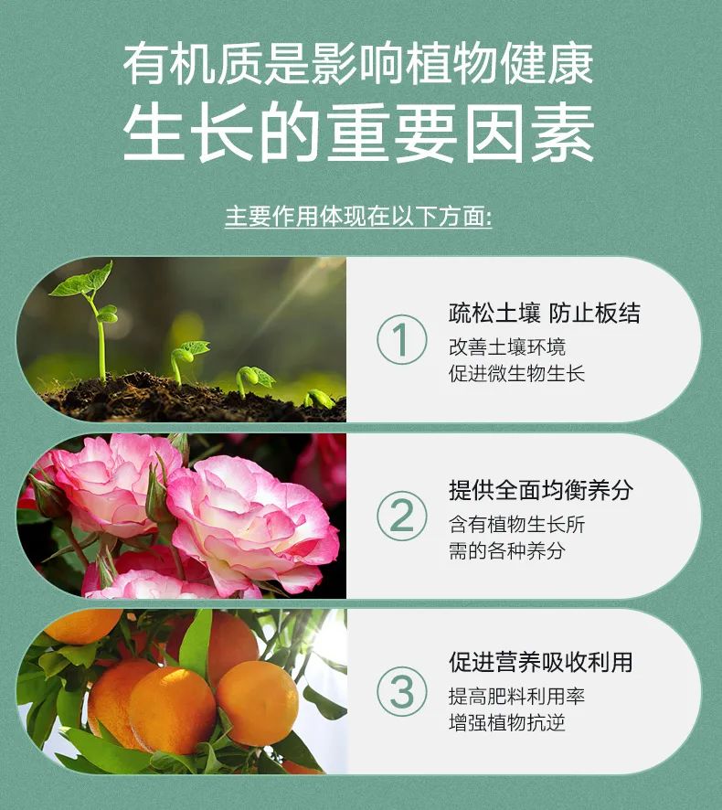 禹州养花人有福了！这家花卉店超值养花套餐限量抢！