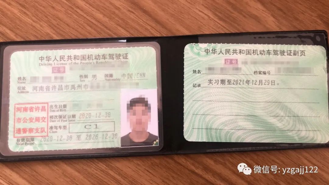 禹州一小伙驾驶证到手13天就没了！