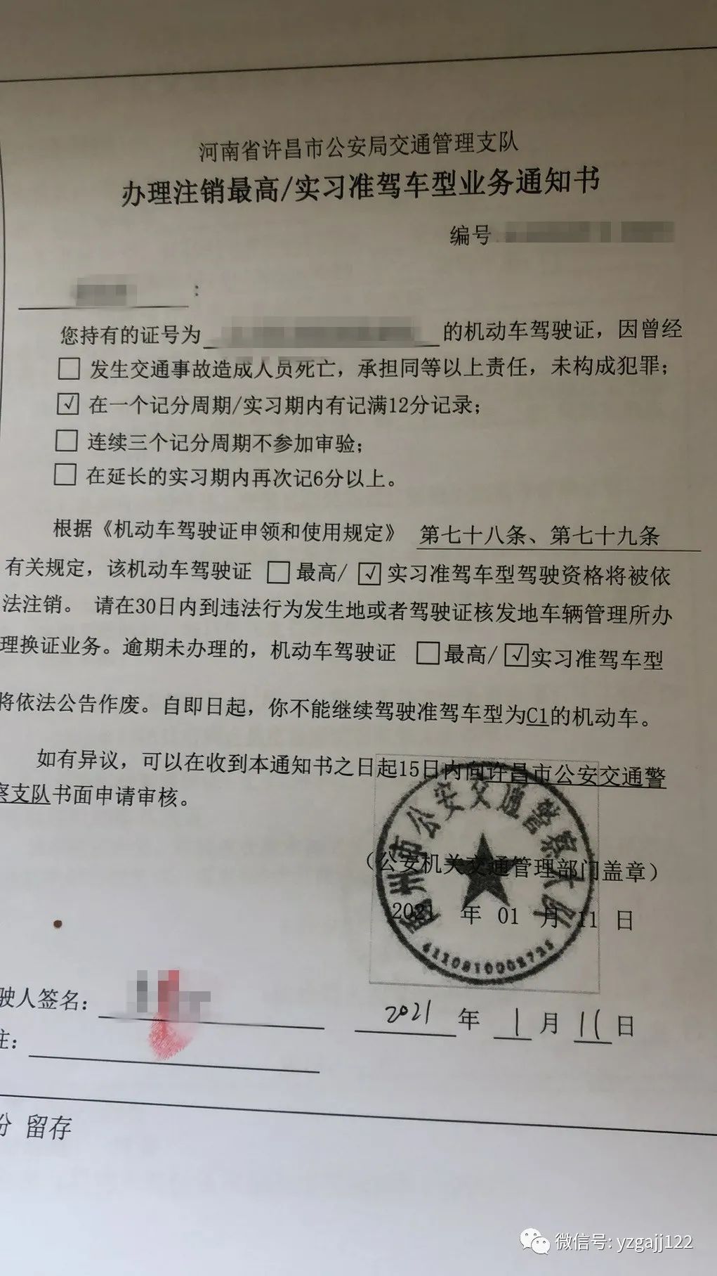禹州一小伙驾驶证到手13天就没了！
