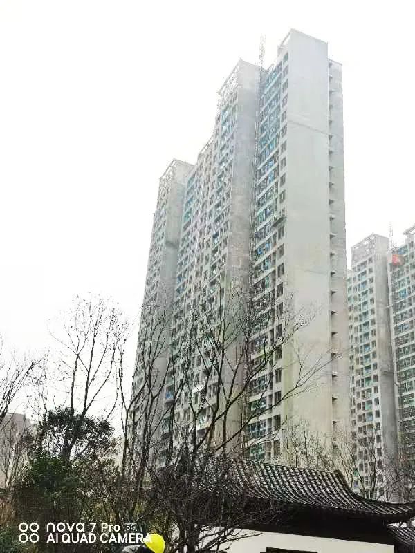 禹州建业桂园1月工程播报丨新岁家书至，温情鉴家音
