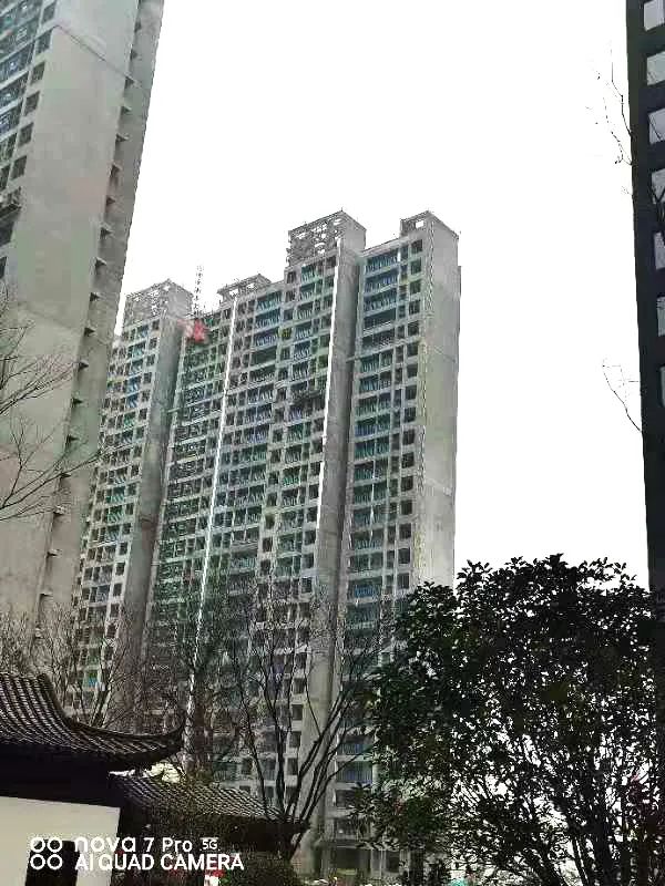 禹州建业桂园1月工程播报丨新岁家书至，温情鉴家音