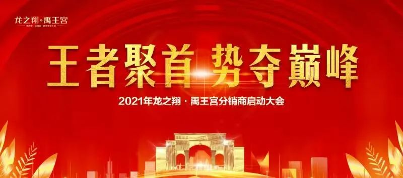 禹州龙之翔禹王宫推介会圆满成功！