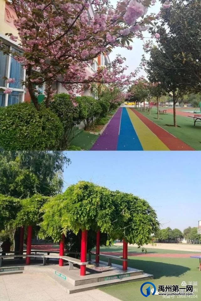禹州春蕾学校2021年春招生报名开始啦! 禹州春蕾学校2021年春招生报名开始啦!