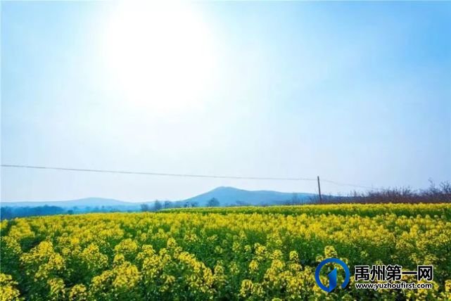 禹州市新增2家3A级旅游景区,你知道都在哪里? 禹州市新增2家3A级旅游景区,你知道都在哪里?