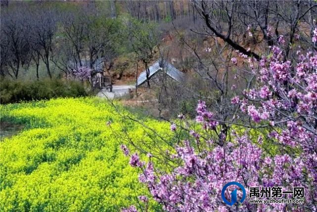 禹州市新增2家3A级旅游景区,你知道都在哪里? 禹州市新增2家3A级旅游景区,你知道都在哪里?