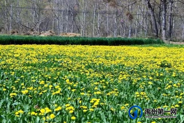 禹州市新增2家3A级旅游景区,你知道都在哪里? 禹州市新增2家3A级旅游景区,你知道都在哪里?