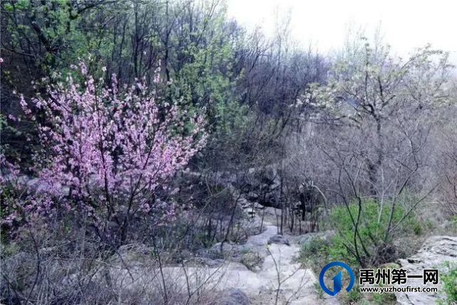 禹州市新增2家3A级旅游景区,你知道都在哪里? 禹州市新增2家3A级旅游景区,你知道都在哪里?