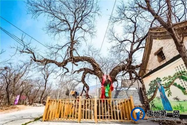 禹州市新增2家3A级旅游景区,你知道都在哪里? 禹州市新增2家3A级旅游景区,你知道都在哪里?