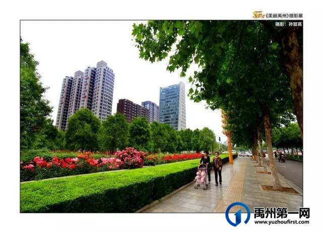 禹州市梁北镇、方岗镇、无梁镇荣获“国家卫生乡镇”奖牌!! 禹州市梁北镇、方岗镇、无梁镇荣获“国家卫生乡镇”奖牌!!