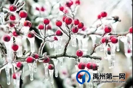 禹州大鸿寨景区搞大事了!参与活动即可得千元大礼! 禹州大鸿寨景区搞大事了!参与活动即可得千元大礼!