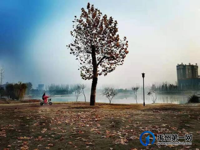 河南禹州森林植物园:风景这边独好! 河南禹州森林植物园:风景这边独好!