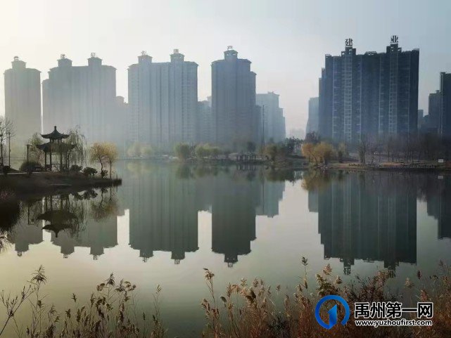 河南禹州森林植物园:风景这边独好! 河南禹州森林植物园:风景这边独好!