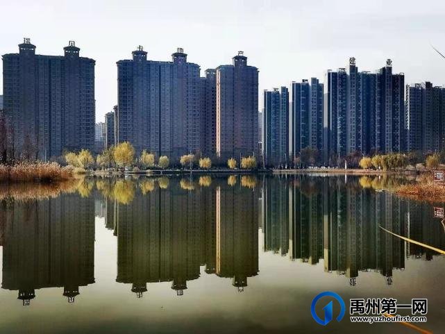 河南禹州森林植物园:风景这边独好! 河南禹州森林植物园:风景这边独好!