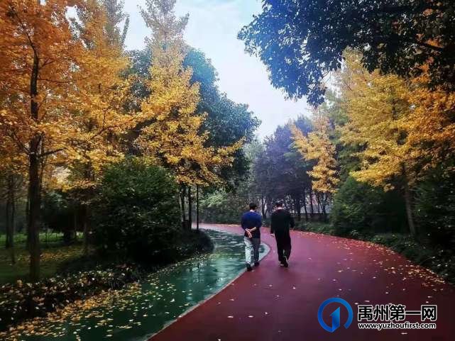 河南禹州森林植物园:风景这边独好! 河南禹州森林植物园:风景这边独好!