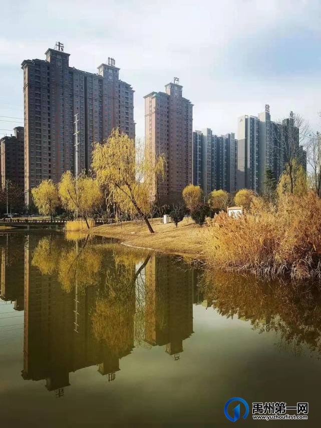 河南禹州森林植物园:风景这边独好! 河南禹州森林植物园:风景这边独好!