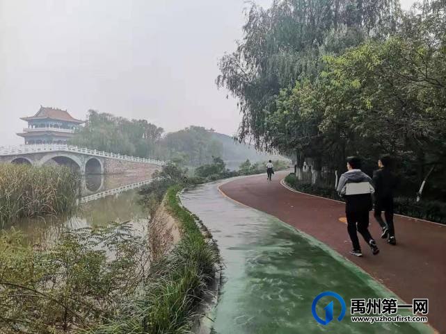 河南禹州森林植物园:风景这边独好! 河南禹州森林植物园:风景这边独好!