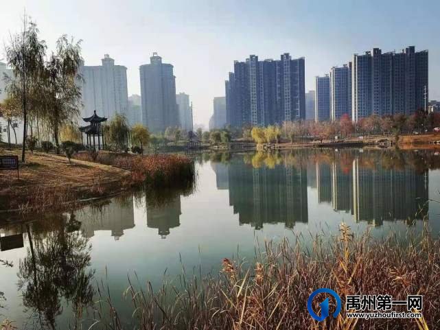 河南禹州森林植物园:风景这边独好! 河南禹州森林植物园:风景这边独好!