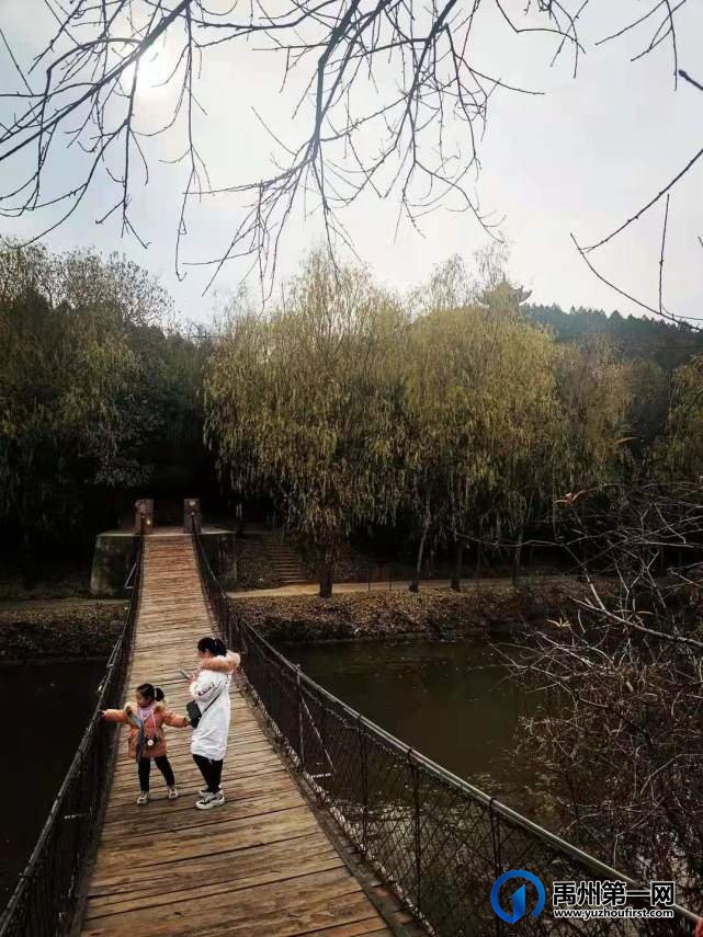 河南禹州森林植物园:风景这边独好! 河南禹州森林植物园:风景这边独好!