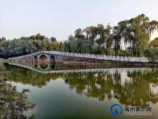 河南禹州森林植物园:风景这边独好! 河南禹州森林植物园:风景这边独好!