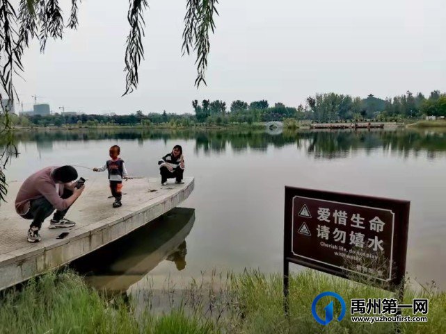 河南禹州森林植物园:风景这边独好! 河南禹州森林植物园:风景这边独好!
