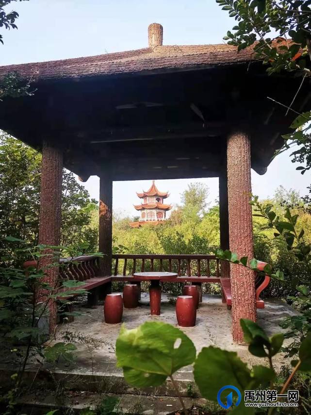河南禹州森林植物园:风景这边独好! 河南禹州森林植物园:风景这边独好!