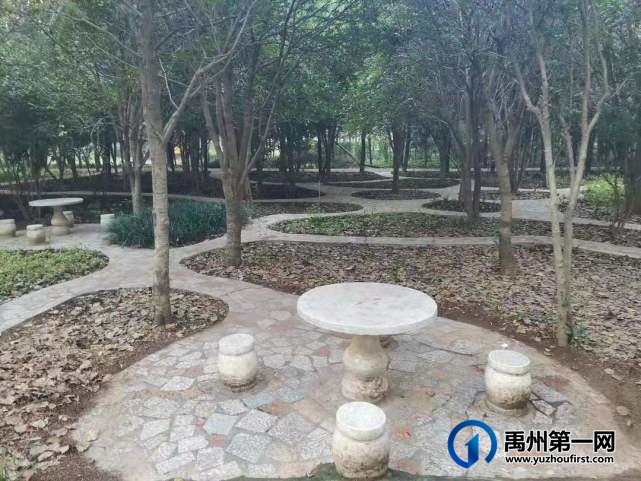 河南禹州森林植物园:风景这边独好! 河南禹州森林植物园:风景这边独好!