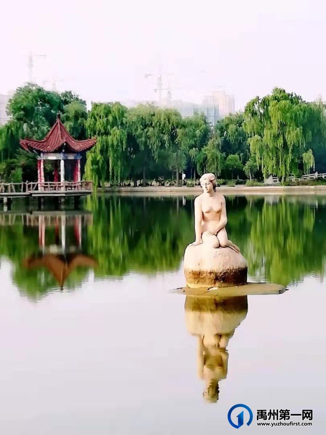 河南禹州森林植物园:风景这边独好! 河南禹州森林植物园:风景这边独好!