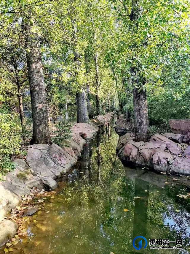 河南禹州森林植物园:风景这边独好! 河南禹州森林植物园:风景这边独好!