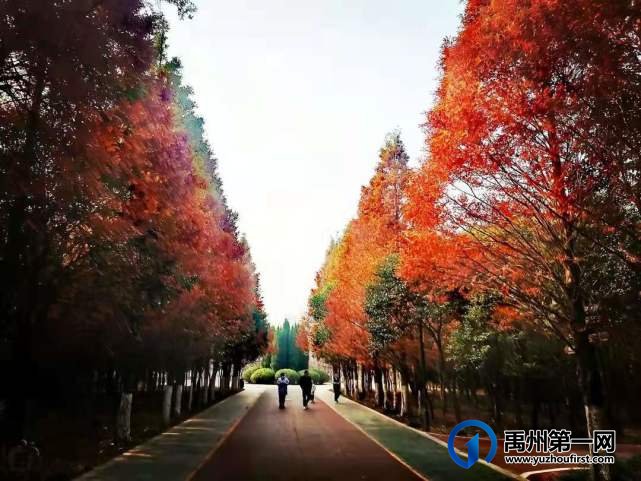 河南禹州森林植物园:风景这边独好! 河南禹州森林植物园:风景这边独好!