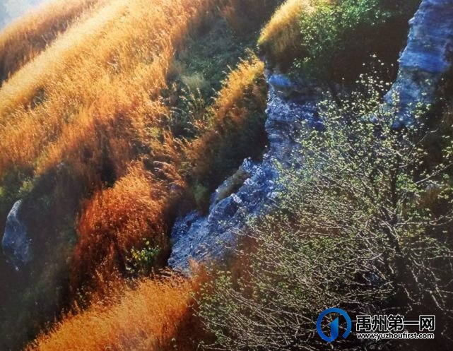 喜讯!禹州入选2021-2023年全国文明城市提名城市 喜讯!禹州入选2021-2023年全国文明城市提名城市