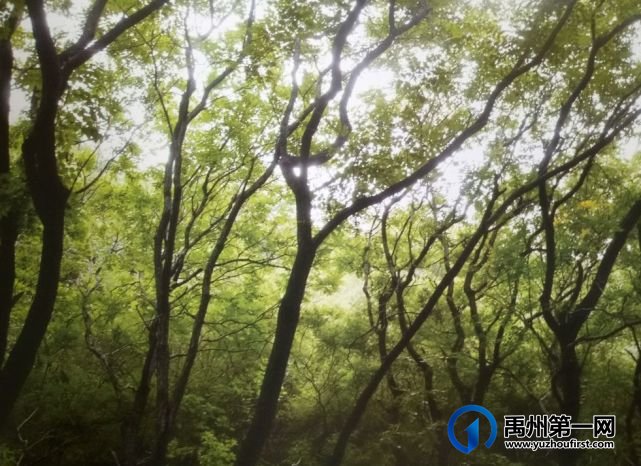 喜讯!禹州入选2021-2023年全国文明城市提名城市 喜讯!禹州入选2021-2023年全国文明城市提名城市