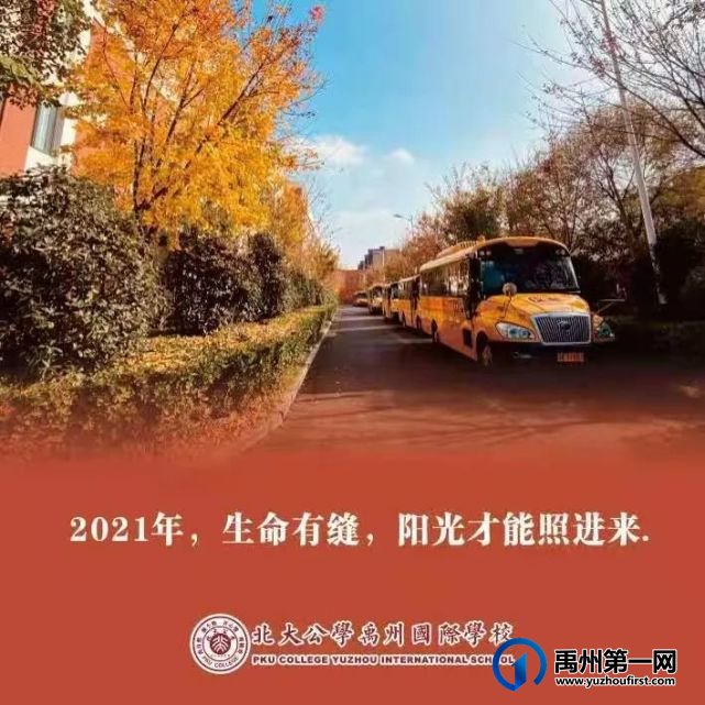 北大公学禹州国际:2020年燃梦公学;2021年星耀未来 北大公学禹州国际:2020年燃梦公学;2021年星耀未来
