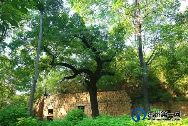 禹州美丽乡村:槐树湾 禹州美丽乡村:槐树湾
