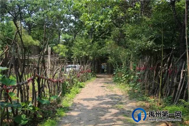 禹州美丽乡村:槐树湾 禹州美丽乡村:槐树湾