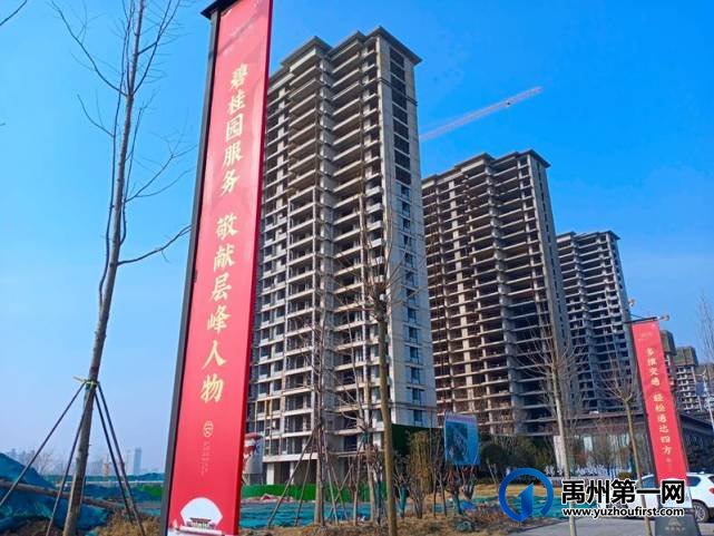 禹州锦利永安府2月份工程进度