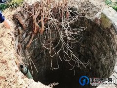 事发大年30！禹州范坡镇一名村民路过村头枯井时听到