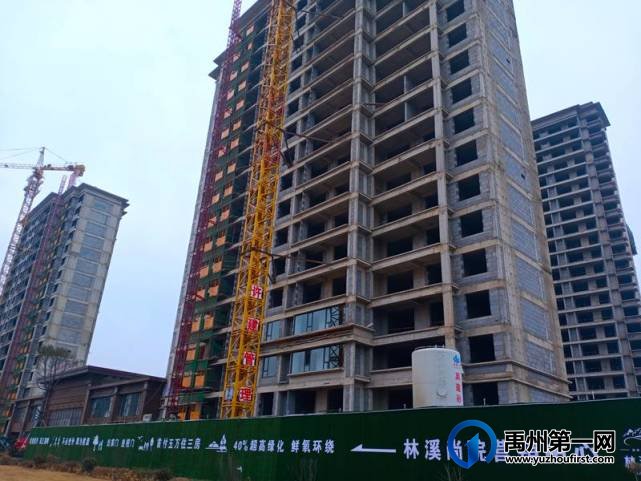 禹州林溪尚院2月份工程进度