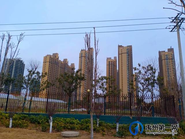 禹州圣帝金苑2月份工程进度