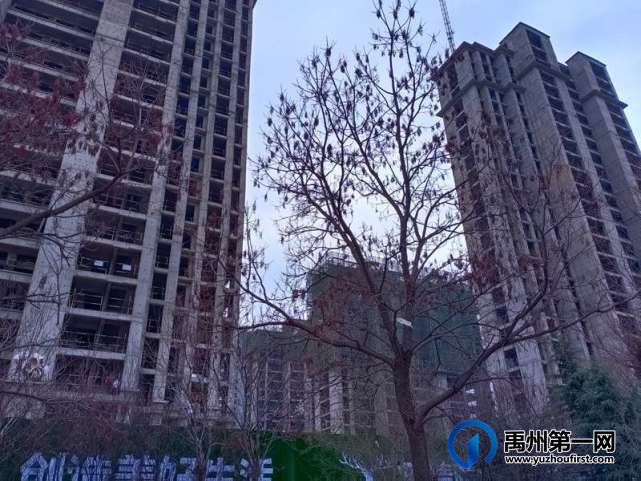 禹州天润公馆2月份工程进度