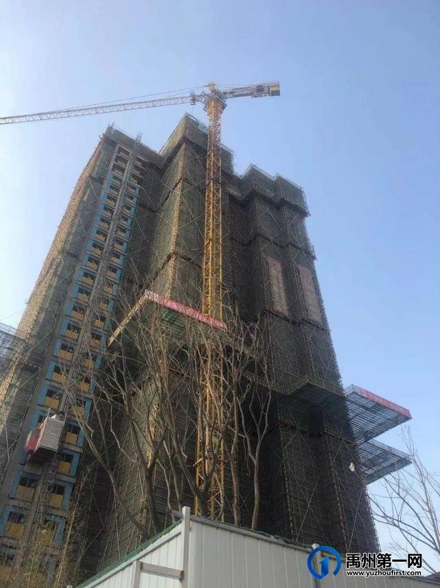 禹州建业春天里丨2月佳音至,未来亦可期! 禹州建业春天里丨2月佳音至,未来亦可期!