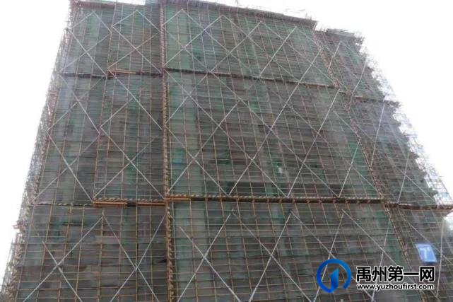 禹州建业春天里丨2月佳音至,未来亦可期! 禹州建业春天里丨2月佳音至,未来亦可期!