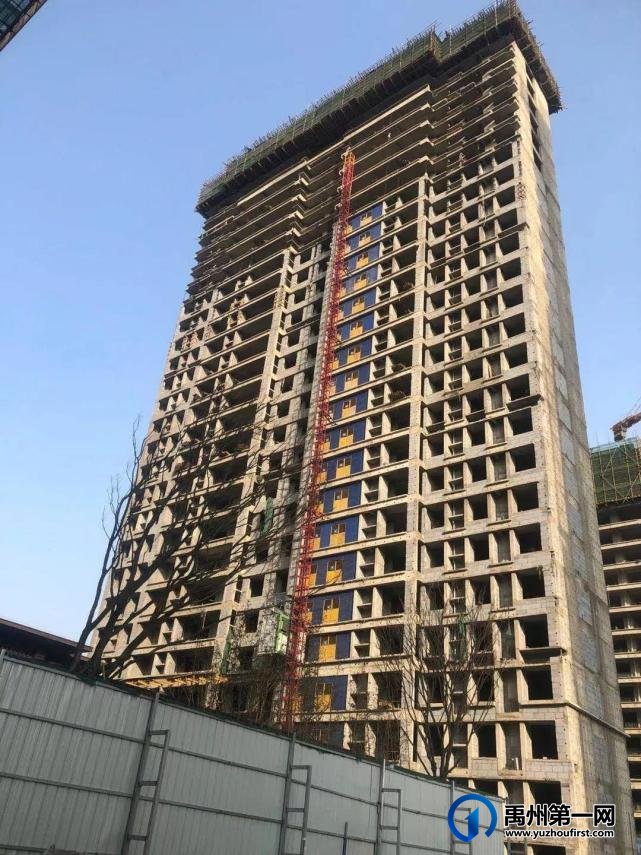 禹州建业春天里丨2月佳音至,未来亦可期! 禹州建业春天里丨2月佳音至,未来亦可期!