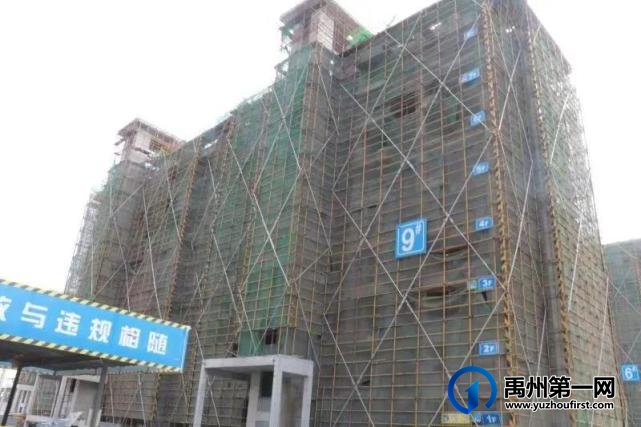禹州建业春天里丨2月佳音至,未来亦可期! 禹州建业春天里丨2月佳音至,未来亦可期!