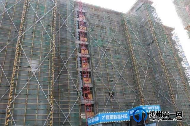 禹州建业春天里丨2月佳音至,未来亦可期! 禹州建业春天里丨2月佳音至,未来亦可期!