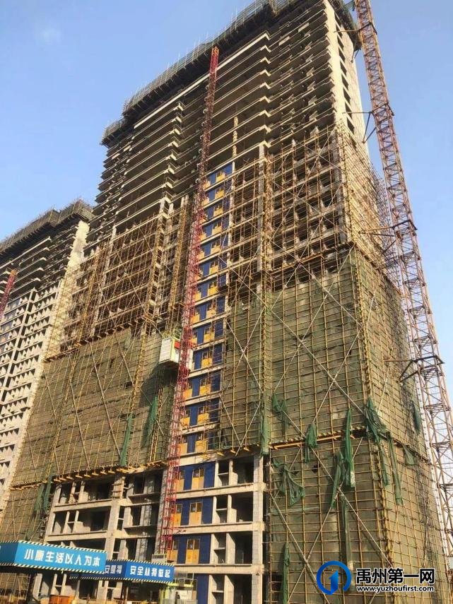 禹州建业春天里丨2月佳音至,未来亦可期! 禹州建业春天里丨2月佳音至,未来亦可期!