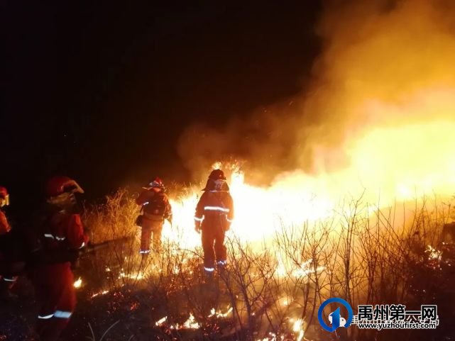 禹州市森林公安局练兵战备守护万家灯火 禹州市森林公安局练兵战备守护万家灯火