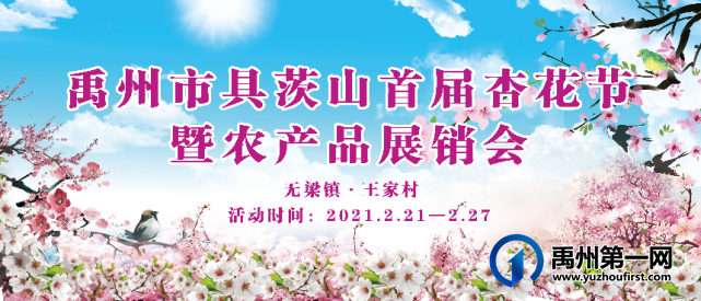 禹州无梁镇首届杏花节即将开幕啦! 禹州无梁镇首届杏花节即将开幕啦!